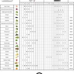 Cucameloen Mexicaanse Komkommer - Talrijke Vruchtjes, Zo Groot Als Een Druif -Planten Zorg Verkoop 1048x1200 1