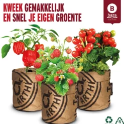 Van 32,95 Voor 24,95 3 Stuks Moestuin Kweekset Aardbei, Tomaat Paprika GRATIS VERZENDING
