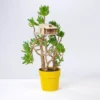 The Amazing Plant-hut | Miniature Treehouse Mini Boomhutje