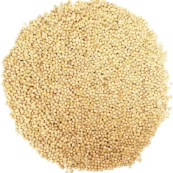 ToshiFarm Broed Voor Grijze Oesterzwammen - 50 Gram - Broed Voor Oesterzwam Growkit - Zelf Paddenstoelen Kweken Op Koffiedik - Ecologisch Cadeau 7 ToshiFarm Broed Voor Grijze Oesterzwammen - 50 Gram - Broed Voor Oesterzwam Growkit - Zelf Paddenstoelen Kweken Op Koffiedik - Ecologisch Cadeau -Planten Zorg Verkoop 1168x1200 2