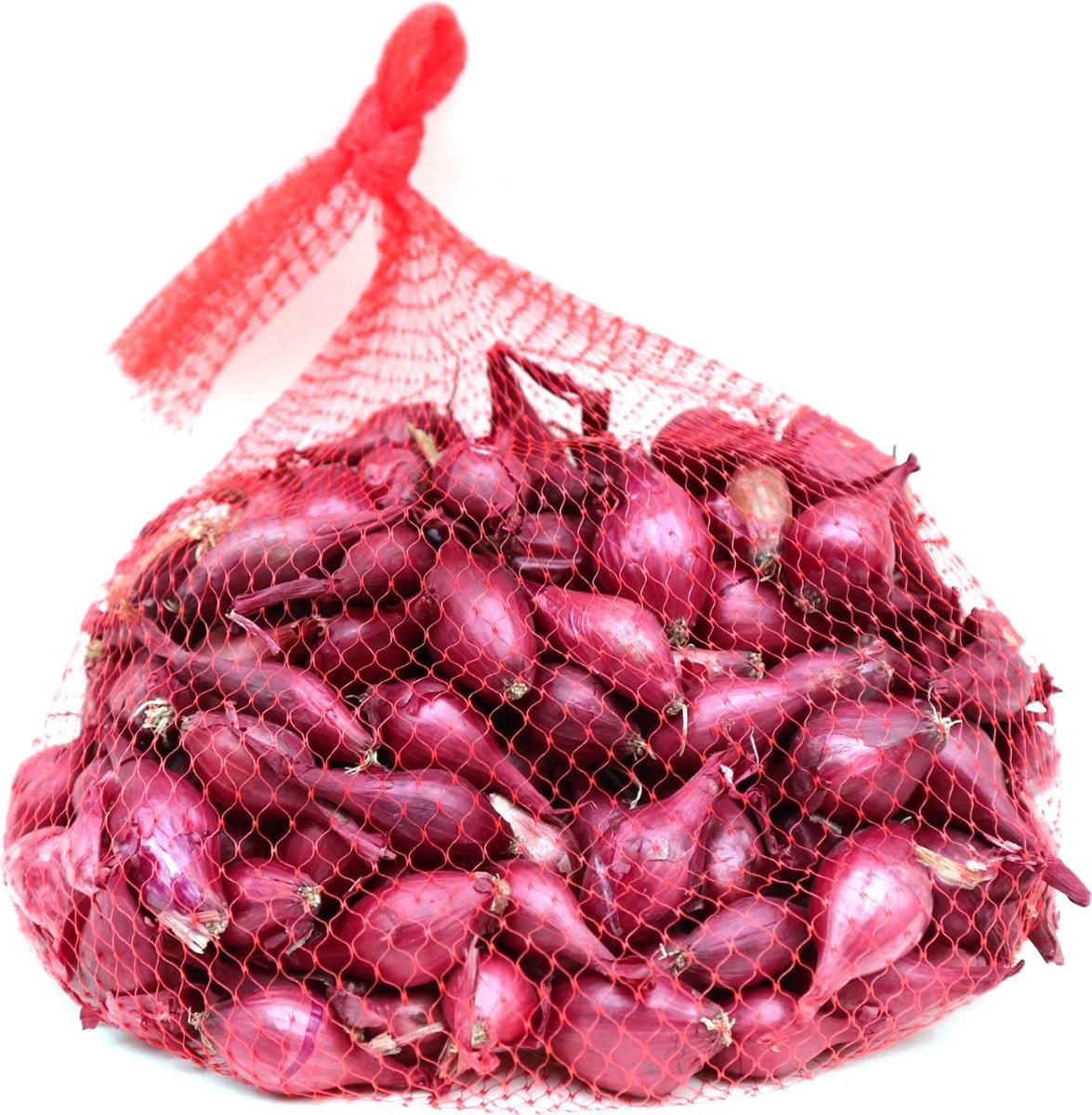 Plantui / Pootui 'Red Baron' - Rode Ui - Maat 14/21 - 500 G (ca. 100 Stuks) 1 Plantui / Pootui 'Red Baron' - Rode Ui - Maat 14/21 - 500 G (ca. 100 Stuks)