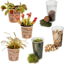 Ecoworld Vleesetende Planten Mix - DIY Ecosysteem Plant Set - 3 Vleesetende Planten - Met Terrarium Plant Venus Vliegenval Zonnedauw En Trompetbekerplant - Inclusief Substraat - Grond - Mos 11 Ecoworld Vleesetende Planten Mix - DIY Ecosysteem Plant Set - 3 Vleesetende Planten - Met Terrarium Plant Venus Vliegenval Zonnedauw En Trompetbekerplant - Inclusief Substraat - Grond - Mos -Planten Zorg Verkoop 1187x1200