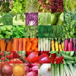 Groentezaden Assortiment 36 Soorten (sla, Kolen, Wortels, Kruiden, Tomaten, Paprika, Uien, Prei) Zaadlint