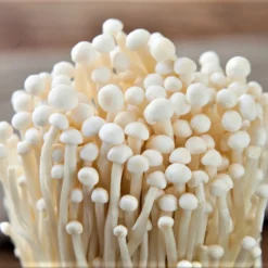 ToshiFarm Broed Voor Enoki - 50 Gram - Zelf Enoki Kweken - Broed Voor Fluweelpootje - Paddenstoel Sporen - Eco Cadeau 17 ToshiFarm Broed Voor Enoki - 50 Gram - Zelf Enoki Kweken - Broed Voor Fluweelpootje - Paddenstoel Sporen - Eco Cadeau -Planten Zorg Verkoop 1200x1014