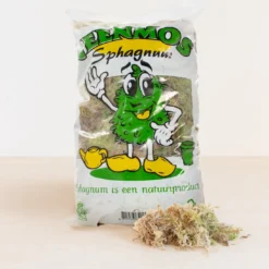 Sphagnum Mos Levend 6 Sphagnum Mos Levend -Planten Zorg Verkoop 1200x1093