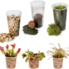 Ecoworld Vleesetende Planten Mix - DIY Ecosysteem Plant Set - 3 Vleesetende Planten - Met Terrarium Plant Venus Vliegenval Zonnedauw En Trompetbekerplant - Inclusief Substraat - Grond - Mos