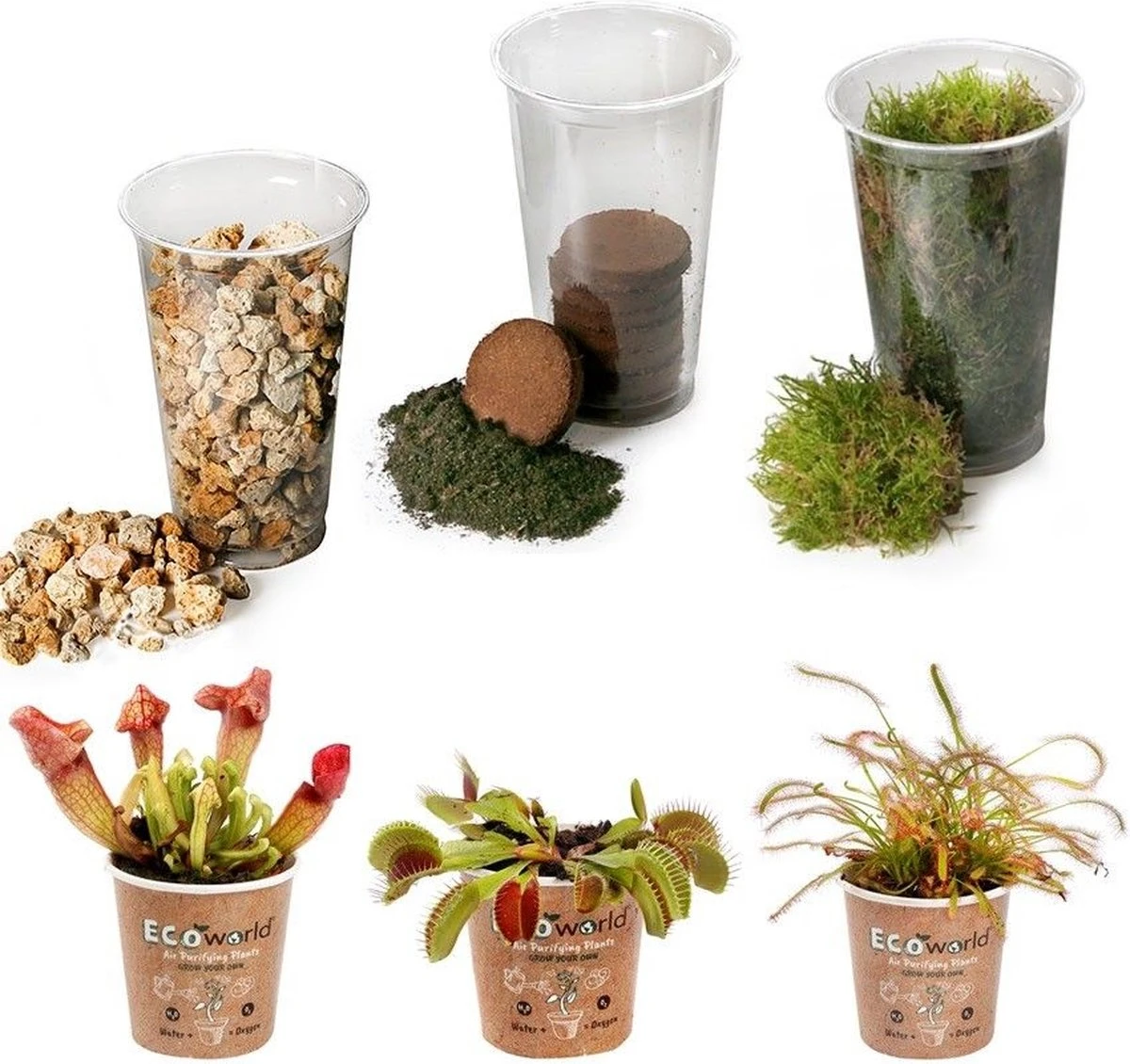 Ecoworld Vleesetende Planten Mix - DIY Ecosysteem Plant Set - 3 Vleesetende Planten - Met Terrarium Plant Venus Vliegenval Zonnedauw En Trompetbekerplant - Inclusief Substraat - Grond - Mos 1 Ecoworld Vleesetende Planten Mix - DIY Ecosysteem Plant Set - 3 Vleesetende Planten - Met Terrarium Plant Venus Vliegenval Zonnedauw En Trompetbekerplant - Inclusief Substraat - Grond - Mos