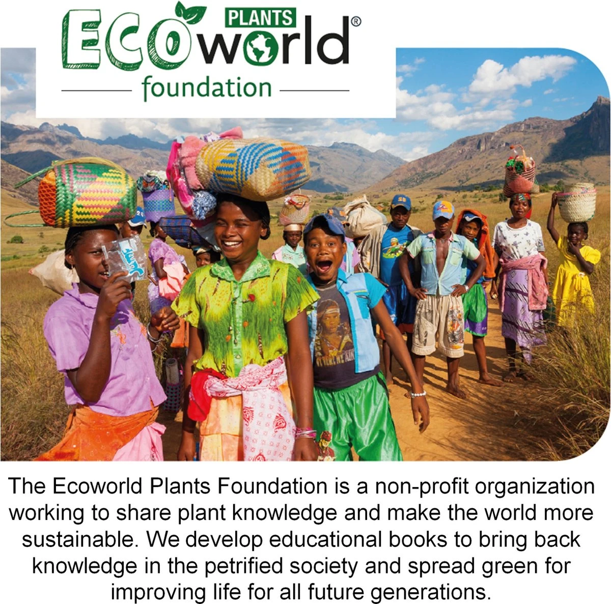 Ecoworld Mini Varen Plantjes Mix - Inclusief Mini Planten Potjes - 5 Stuks - Ø 6 Cm Hoogte 8-15 Cm 4 Ecoworld Mini Varen Plantjes Mix - Inclusief Mini Planten Potjes - 5 Stuks - Ø 6 Cm Hoogte 8-15 Cm - Afbeelding 4