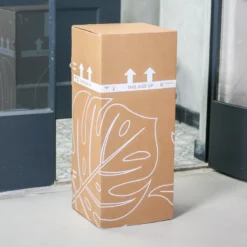 Monstera Deliciosa | Kamerplant | Groene Plant | Gatenplant | Potmaat 17cm | Hoogte 50cm | Geleverd In Kwekerspot -Planten Zorg Verkoop 1200x1200 105