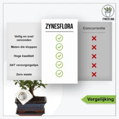 ZynesFlora - Bonsai In Keramiek - Kamerplant In Pot - Ø 15 Cm - Hoogte: 25-30 Cm - Kamerplant 13 ZynesFlora - Bonsai In Keramiek - Kamerplant In Pot - Ø 15 Cm - Hoogte: 25-30 Cm - Kamerplant -Planten Zorg Verkoop 1200x1200 110