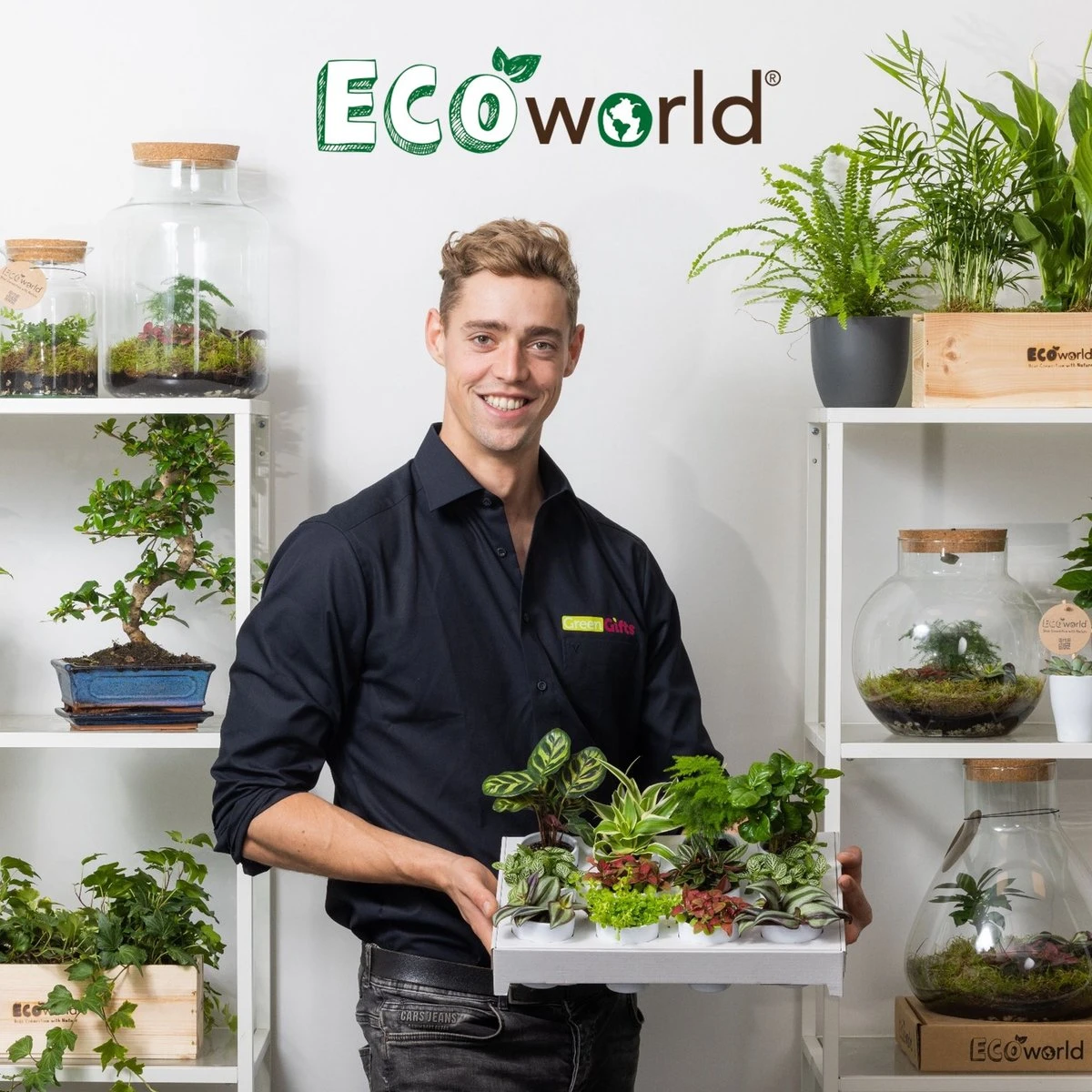 Ecoworld Mini Varen Plantjes Mix - Inclusief Mini Planten Potjes - 5 Stuks - Ø 6 Cm Hoogte 8-15 Cm 5 Ecoworld Mini Varen Plantjes Mix - Inclusief Mini Planten Potjes - 5 Stuks - Ø 6 Cm Hoogte 8-15 Cm - Afbeelding 5