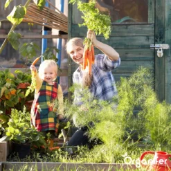 Groentezaden Pakket – 25 Culinaire Soorten - Organifer -Planten Zorg Verkoop 1200x1200 24