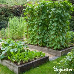 Groentezaden Pakket – 25 Culinaire Soorten - Organifer -Planten Zorg Verkoop 1200x1200 25