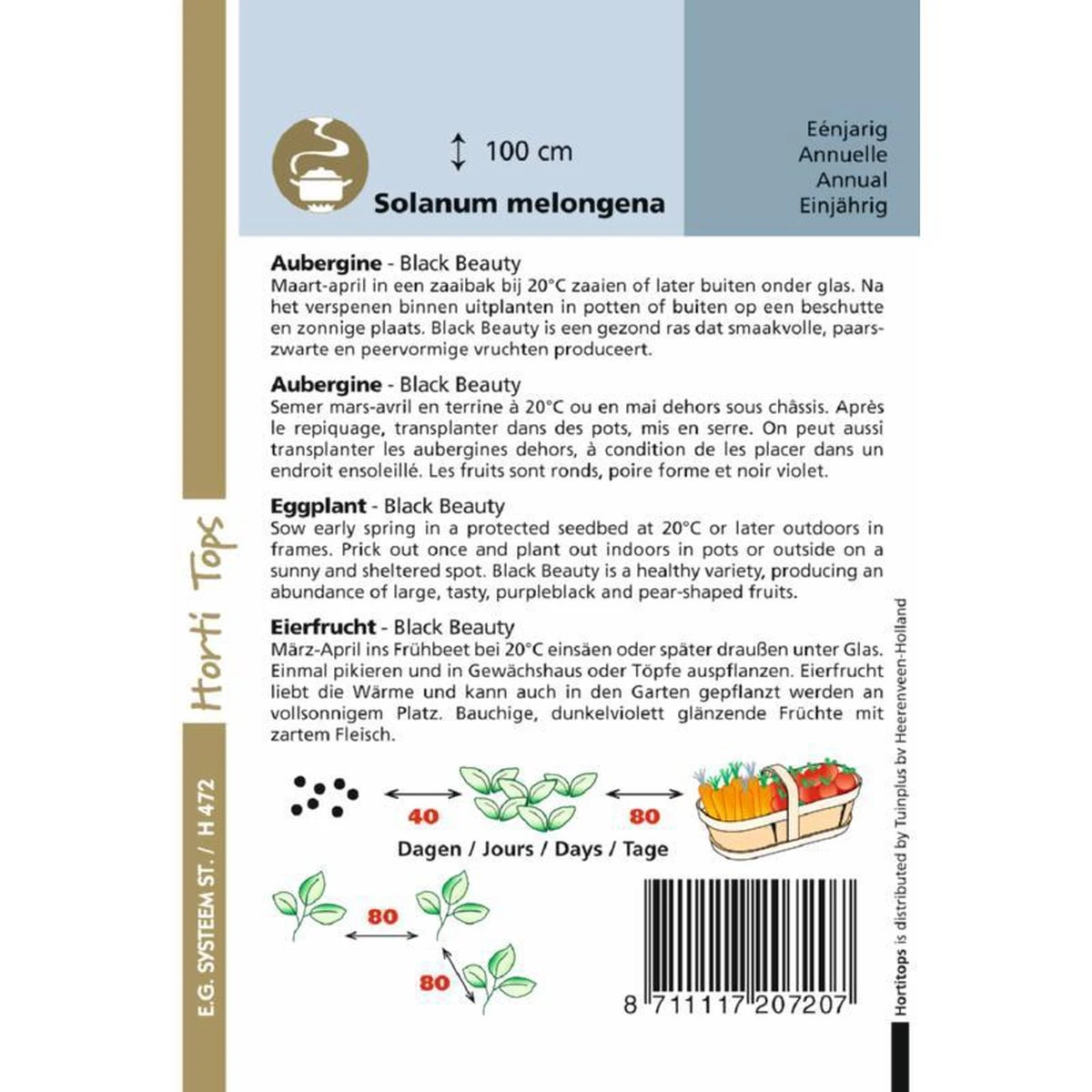 Hortitops Zaden - Aubergine Black Beauty 1 Gram 2 Hortitops Zaden - Aubergine Black Beauty 1 Gram - Afbeelding 2