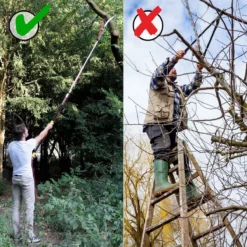 Iceberk Snoeischaar + Snoeizaag (1,45 - 3,70 M) - Telescopische Snoeischaar Voor Het Snoeien Van Bomen En Dichte Struiken Zonder Ladder -Planten Zorg Verkoop 1200x1200 533