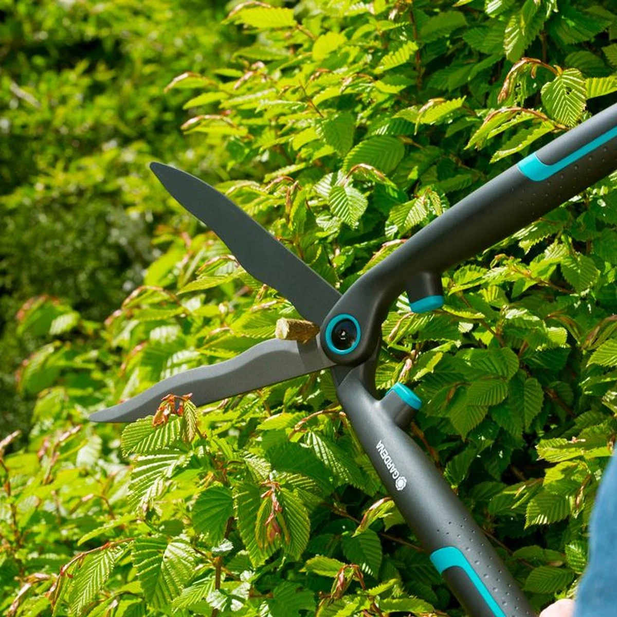 GARDENA - EasyCut - Heggenschaar - Extra Licht Van Gewicht 11 GARDENA - EasyCut - Heggenschaar - Extra Licht Van Gewicht - Afbeelding 11