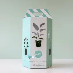 Knuffelcactus | Planten | Bloompost -Planten Zorg Verkoop 1200x1200 88