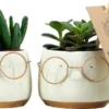 Plantophile Plant-deco Collectie - Leuke Bril Pot Met Plant - Wit Met Goud - Small - SET VAN 2 STUKS