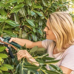 Bosch EasyPrune Accu Snoeischaar - 3.6 V Accu - USB 14 Bosch EasyPrune Accu Snoeischaar - 3.6 V Accu - USB -Planten Zorg Verkoop 1200x675 25