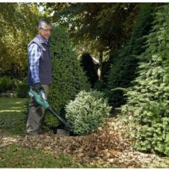 Bosch ALB 36 LI - Bladblazer - Met 36 V Accu En Lader -Planten Zorg Verkoop 1200x762