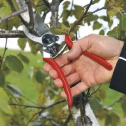 Felco 2 Snoeischaar - Rechtshandig - Max. Knipdiameter 25 Mm - Lengte 215 Mm 20 Felco 2 Snoeischaar - Rechtshandig - Max. Knipdiameter 25 Mm - Lengte 215 Mm -Planten Zorg Verkoop 1200x796 3