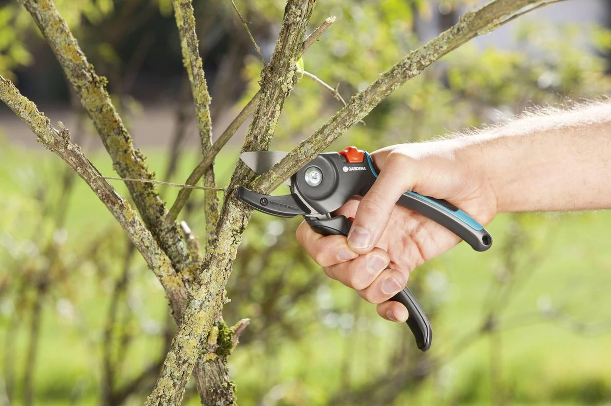 GARDENA - Comfort A/M Aambeeld - Snoeischaar - Ø 23mm 2 GARDENA - Comfort A/M Aambeeld - Snoeischaar - Ø 23mm - Afbeelding 2