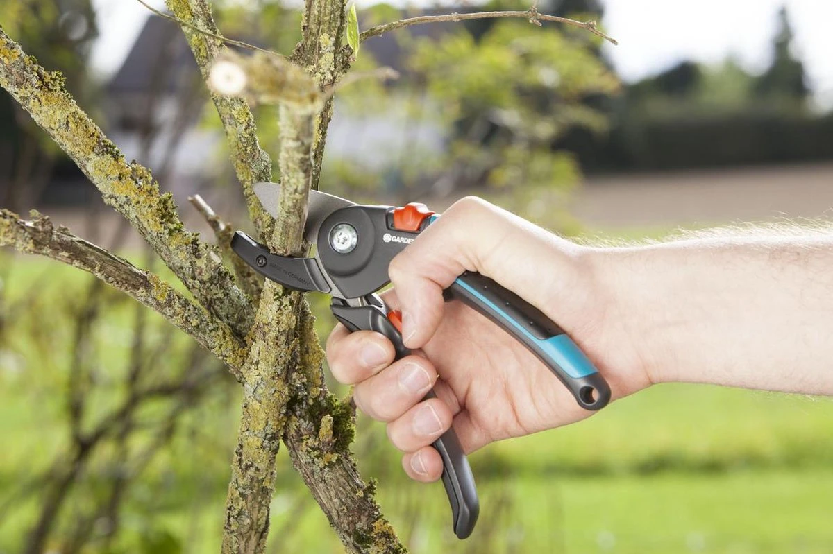 GARDENA - Comfort A/M Aambeeld - Snoeischaar - Ø 23mm 4 GARDENA - Comfort A/M Aambeeld - Snoeischaar - Ø 23mm - Afbeelding 4