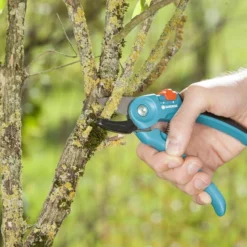 GARDENA Classic Aambeeld Snoeischaar - Ø 18 Mm 8 GARDENA Classic Aambeeld Snoeischaar - Ø 18 Mm -Planten Zorg Verkoop 1200x799 71