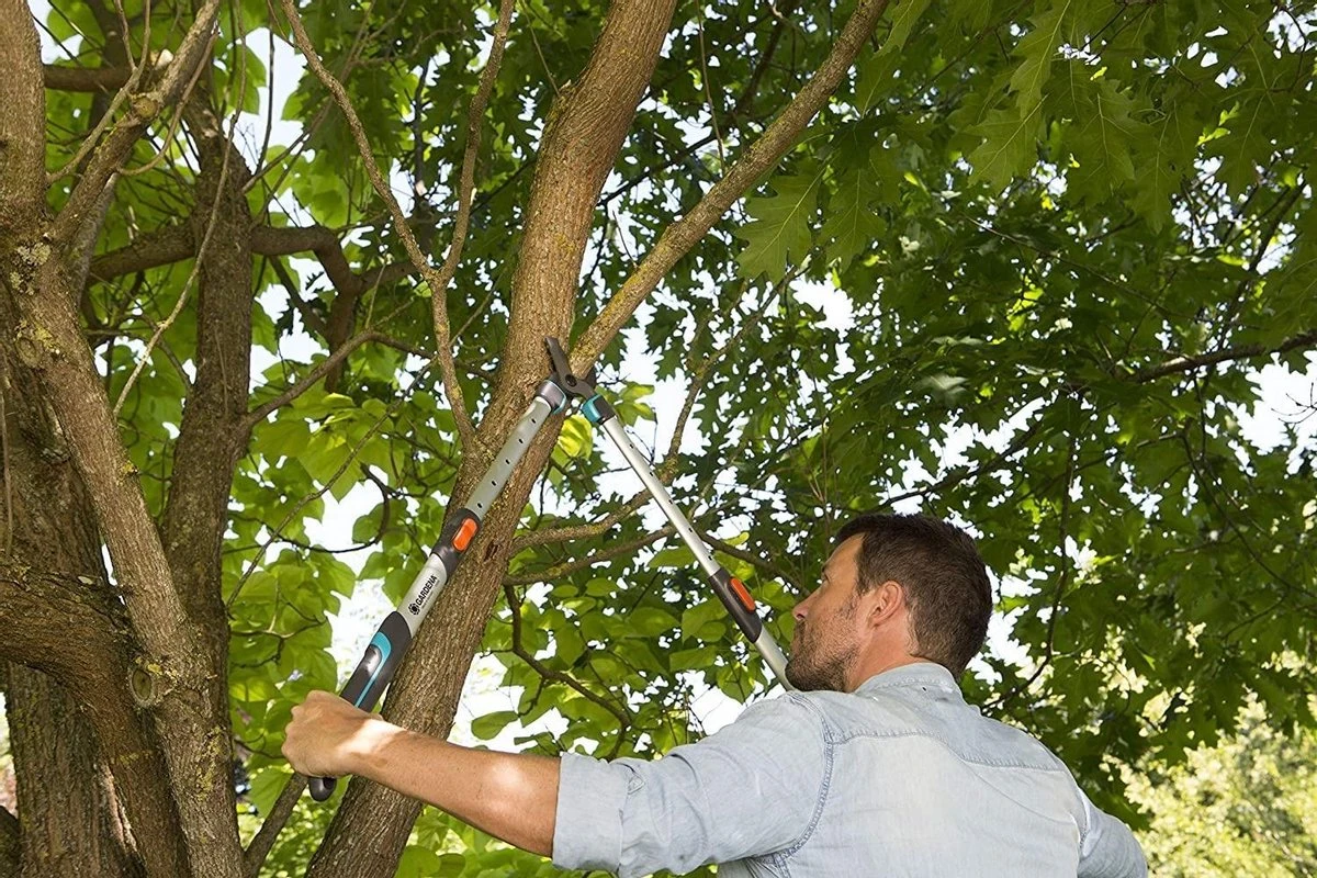 Gardena TeleCut Takkenschaar 650-900 B - Uitschuifbare Armen - Tot Max 90 Cm 6 Gardena TeleCut Takkenschaar 650-900 B - Uitschuifbare Armen - Tot Max 90 Cm - Afbeelding 6