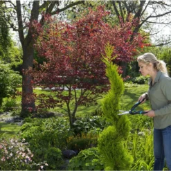 GARDENA PrecisionCut Buxusschaar - Meslengte 18 Cm - Vormsnoeien 17 GARDENA PrecisionCut Buxusschaar - Meslengte 18 Cm - Vormsnoeien -Planten Zorg Verkoop 1200x800 132