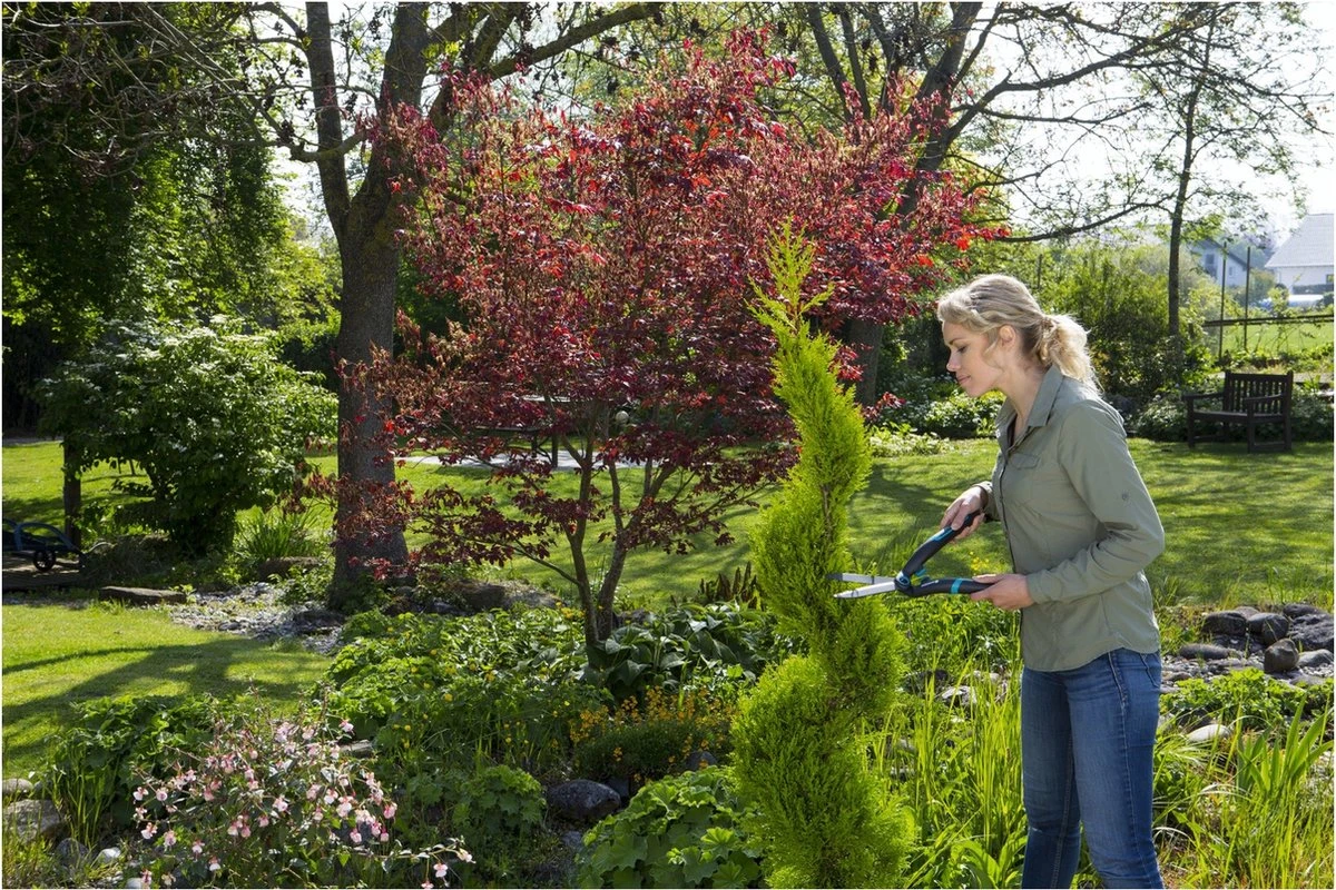 GARDENA PrecisionCut Buxusschaar - Meslengte 18 Cm - Vormsnoeien 5 GARDENA PrecisionCut Buxusschaar - Meslengte 18 Cm - Vormsnoeien - Afbeelding 5