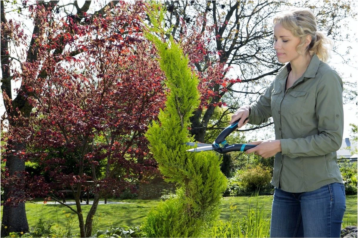 GARDENA PrecisionCut Buxusschaar - Meslengte 18 Cm - Vormsnoeien 6 GARDENA PrecisionCut Buxusschaar - Meslengte 18 Cm - Vormsnoeien - Afbeelding 6