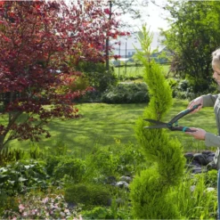 GARDENA PrecisionCut Buxusschaar - Meslengte 18 Cm - Vormsnoeien 21 GARDENA PrecisionCut Buxusschaar - Meslengte 18 Cm - Vormsnoeien -Planten Zorg Verkoop 1200x800 136