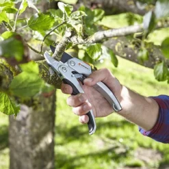 Planten Zorg Verkoop -Planten Zorg Verkoop 1200x800 153