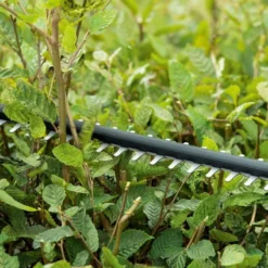 Bosch UniversalHedgeCut 18-50 Heggenschaar - Met 18 V Accu En Lader -Planten Zorg Verkoop 1200x800 158