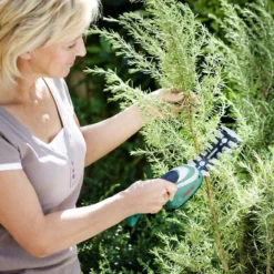 Bosch ISIO Gen III Accu Buxusschaar + Grasschaar -Planten Zorg Verkoop 1200x800 66