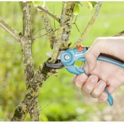 Planten Zorg Verkoop -Planten Zorg Verkoop 1200x825 17