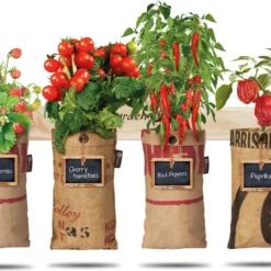 4x Hangtuintjes Moestuin Kweekset Groenten Nu Met Gratis FSC Houten Hangrekje!! 13 4x Hangtuintjes Moestuin Kweekset Groenten Nu Met Gratis FSC Houten Hangrekje!! -Planten Zorg Verkoop 1200x867