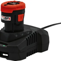 Parkside 12V Accu Takkenzaag Incl Accu En Snellader -Planten Zorg Verkoop 1200x873