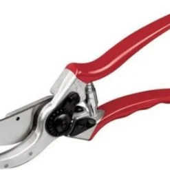 Felco 2 Snoeischaar - Rechtshandig - Max. Knipdiameter 25 Mm - Lengte 215 Mm 24 Felco 2 Snoeischaar - Rechtshandig - Max. Knipdiameter 25 Mm - Lengte 215 Mm -Planten Zorg Verkoop 1200x880