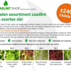 Sla Zaden Assortiment Zaadlint 3 Sla Zaden Assortiment Zaadlint -Planten Zorg Verkoop 1200x935