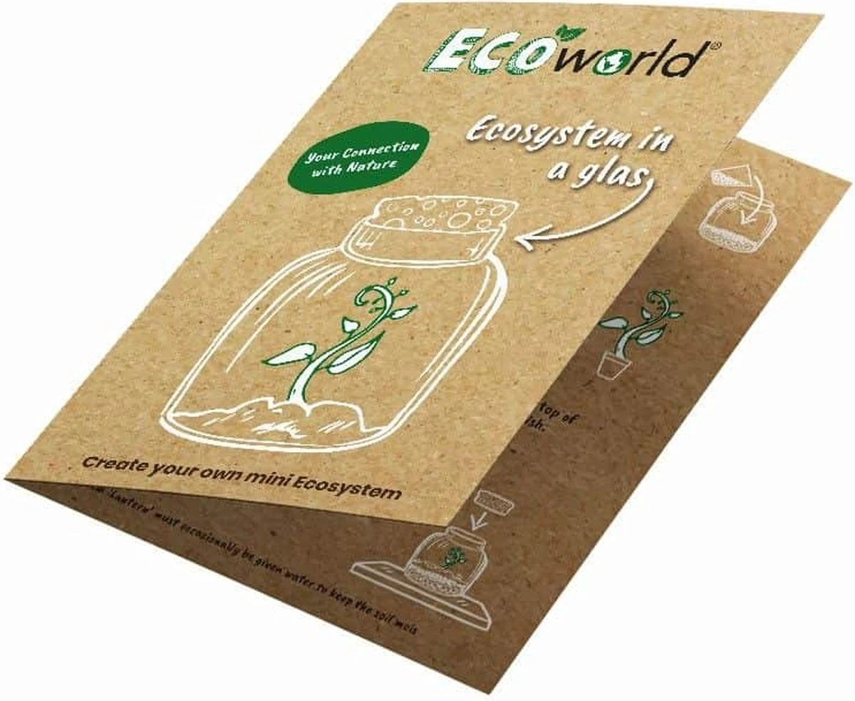 Ecoworld Vleesetende Planten Mix - DIY Ecosysteem Plant Set - 3 Vleesetende Planten - Met Terrarium Plant Venus Vliegenval Zonnedauw En Trompetbekerplant - Inclusief Substraat - Grond - Mos 4 Ecoworld Vleesetende Planten Mix - DIY Ecosysteem Plant Set - 3 Vleesetende Planten - Met Terrarium Plant Venus Vliegenval Zonnedauw En Trompetbekerplant - Inclusief Substraat - Grond - Mos - Afbeelding 4