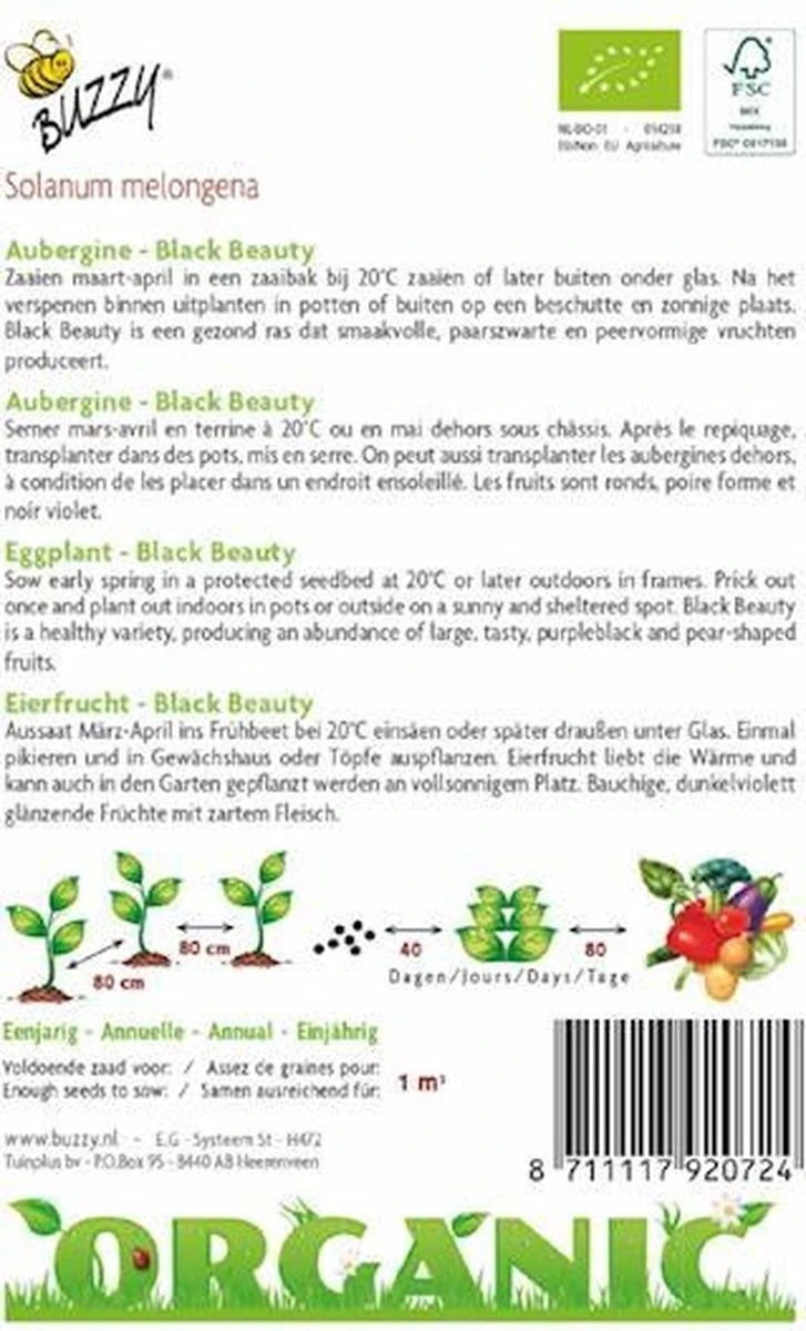 Buzzy Organic - Aubergine Black Beauty BIO 2 Buzzy Organic - Aubergine Black Beauty BIO - Afbeelding 2