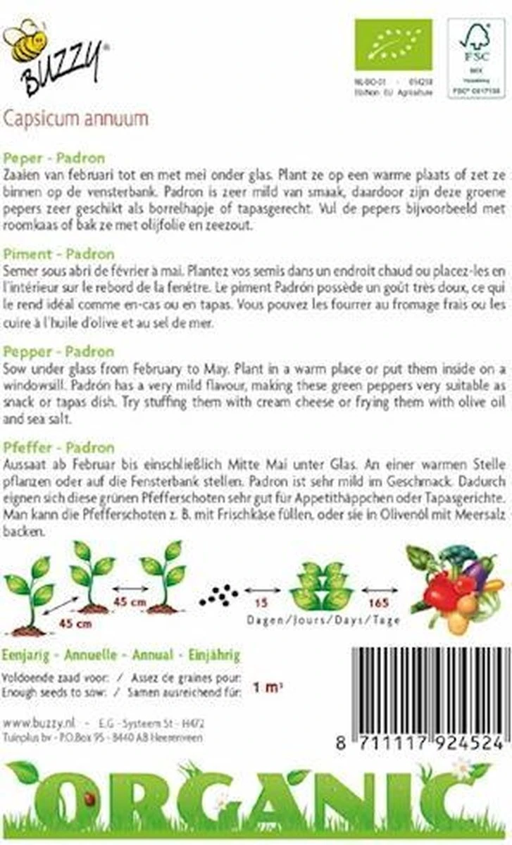Buzzy Organic - Peper Padron BIO 2 Buzzy Organic - Peper Padron BIO - Afbeelding 2