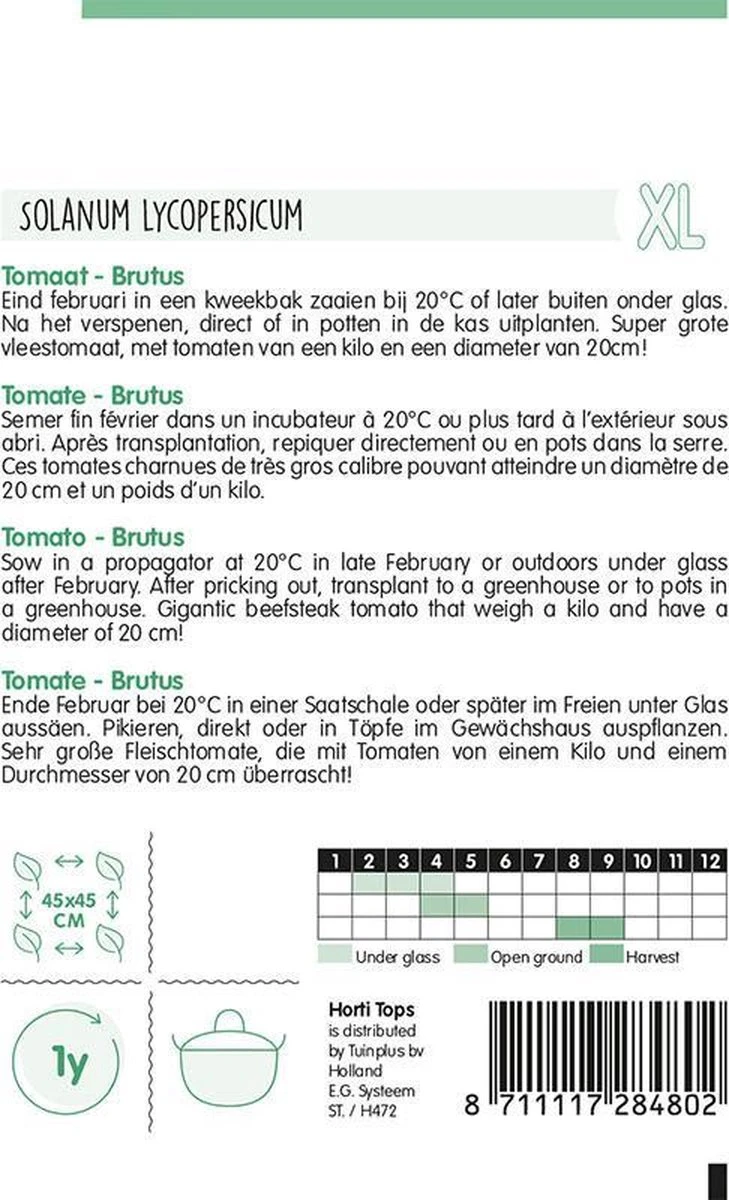 Hortitops Groentezaad - Tomaat Brutus 0,2 Gram - 50 Zaden 2 Hortitops Groentezaad - Tomaat Brutus 0,2 Gram - 50 Zaden - Afbeelding 2