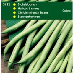 Hortitops Zaden - Stokslabonen Cobra