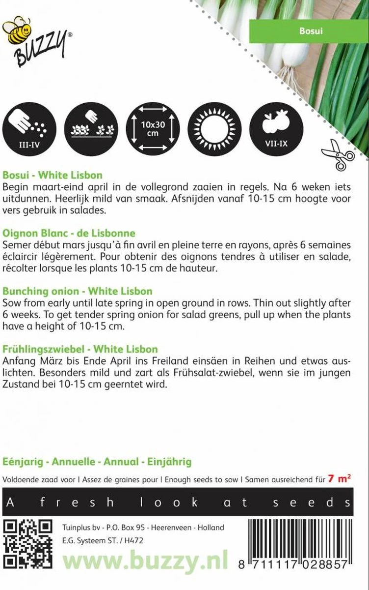 Buzzy Zaden - Bosuien White Lisbon (Allium) 3 Buzzy Zaden - Bosuien White Lisbon (Allium) - Afbeelding 3