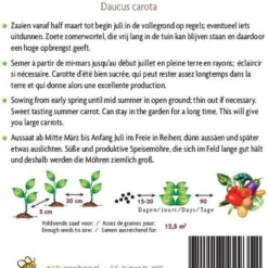 Buzzy® Organic Zomerwortelen Nantes 2 (BIO) -Planten Zorg Verkoop 761x1200 2
