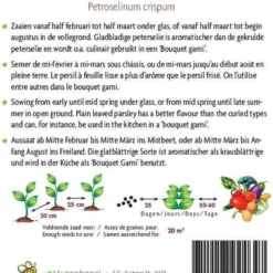 Buzzy® Organic - Peterselie Gigante D'Italia (BIO) -Planten Zorg Verkoop 761x1200
