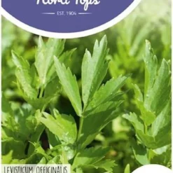 Hortitops Zaden - Lavas